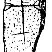 Digital copy of drawing of Inchmarnock, cross-marked stone (no.1). Now in Bute Museum.