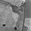 Hassendean Bank, oblique aerial view, taken from the SE, centred on the cropmarks of a fort.