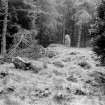 Central cairn, recumbent stone, pillar and fallen stone, viewed from the east.
Original negative captioned: 'Stone Circle at Whitehill wood, Monymusk, June 1906 / View from East Side showing fallen stone and inner rampart, Recumbent Stone and pillar'.