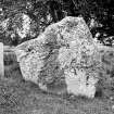 View of symbol stone.
Original negative captioned: 'The Boar Stane, Knocknagael, Inverness July 1910'.