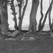 General view of possible cairn and stone circle.
Original negative captioned 'Remains of Stone Circle called "The Auld Kirk" at Greystone Alford 1904'.
