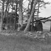 View of recumbent stone, flankers and another stone of the circle.
Original negative captioned 'Stone Circle at Old Keig, View from South West / June 1904'.