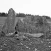 View of recumbent stone and flanker from the south.
Original negative captioned 'Remains of Stone Circle at Westerton (near Cairnton) Forgue April 1906 View from South'.