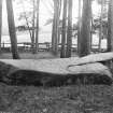 View of cup-marked recumbent stone and flankers.
Original negative captioned 'Sunhoney near Echt. Recumbent stone with Cup Markings. Viewed from inside of Circle / July 1902'.