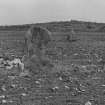 View of standing stone and Pictish symbol stone. Ardlair Recumbent Stone Circle is visible on the hilltop in the distance.
Original negative captioned: 'Ardlair Standing Stones Kennethmont view from East. Stone at middle distance is sculptured. May 1906'.
