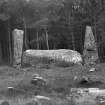 Recumbent stone and pillars, viewed from the interior of the circle and from the north. 
Original negative captioned 'Cothiemuir Wood Circle, Keig, View from North. Cist in foreground June 1904'.