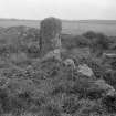 View of circle.
Original negative captioned: 'Stone Circle at Auchquhorthies near Portlethen. Recumbent Stone and Stone Setting viewed from outside circle looking South East 1902'.