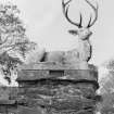 Duntrune Castle, Farm Steading.
Detail of sculptured stag on gate-piers.
Digital image of AG/14435