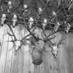 Mounted stag head and stag skulls on the wall of the ballroom at Mar Lodge
Digital image of D/12156