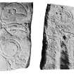 The Pictish symbol stone from Easterton of Roseisle. Allen and Anderson, 1903, p.126, figs 130, 130A.