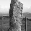 View of Clach Ard Pictish symbol stone, Tote, Skye.