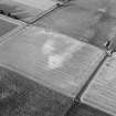 Oblique aerial view centred on the cropmarks of a palisaded enclosure, ring-ditches, pits and rig at Suttie, looking to the NE.