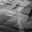 Oblique aerial view centred on the cropmarks of the palisaded enclosure, pits and rig at Suttie, looking to the NNW.