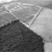 Oblique aerial view centred on the cropmarks of the Roman Temporary Camp at Normandykes, looking to the NE.