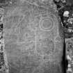 Detail of face of Rhynie Pictish symbol stone no 6 showing a beast's head, a double disc and Z-rod , a crescent and a V-rod.