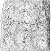 Scanned ink drawing of stag detail on Pictish symbol stone.