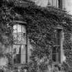 Culross Abbey Mansion House.
Detail of clematis on rear wall of house.
Scanned from glass plate negative. Original envelope annotated by Erskine Beveridge 'Clematis Culross Abbey 1896'