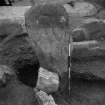 Excavation photograph by Professor Stuart Piggott showing view of stone.