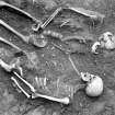 Photograph of two skeletons found in 1960 castle excavations.