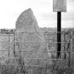 Aberlemno symbol stone no 1, enclosed by protective railing and barbed wire
