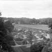 View of flowerbeds.