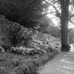 View of garden wall and flowerbeds.