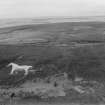 White Horse and Hunter's Lodge, Mormond Hill.  Oblique aerial photograph taken facing north.