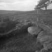 Cairnpapple Hill, photograph of excavation showing henge ditch on W, section Y with kerb stone of Period IV cairn.