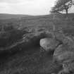 Cairnpapple Hill, photograph of excavation showing kerb stones of Period IV cairn on E side.
