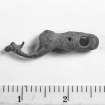 Copper-alloy dolphin-shaped spigot, probably from a barrel. Scale in inches.

