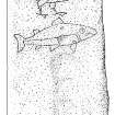Scanned ink drawing of face a (goose & salmon) of Easterton of Roseisle Pictish symbol stone