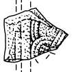 Scanned ink drawing of Burghead 17 cross slab fragment