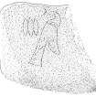 Scanned ink drawing of Pictish symbols (triple oval, flower) in Sculptor's Cave