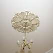 Interior. Detail of entrance hall ceiling rose