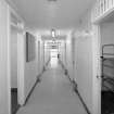 Interior.
View of specimen corridor, first floor, C Hall.