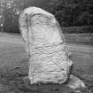Viwe of face of cast of Dunnichen Pictish symbol stone.