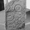 View of reverse of Fairygreen Pictish symbol stone, Collace in  Marischal Museum, University of Aberdeen.