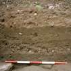 View of the N end of the excavation trench. Scale in 200mm divisions
