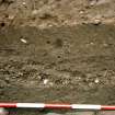 View of the N face of the excavation trench. Scale in 200mm divisions