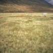 Glen Derry, grass-covered hut. Mar Lodge condition survey 1996