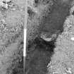 Excavation photograph : trench VIII, wall slot - looking north.