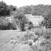 General view of garden.