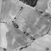 Oblique aerial view centred on the cropmarks and standing stone, taken from the NE.