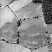 Oblique aerial view centred on the cropmarks and standing stone, taken from the N.