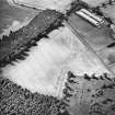 Oblique aerial view centred on the cropmarks of the NW section of the cursus, taken from the ESE.