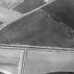 Oblique aerial view centred on the cropmarks of the enclosures, possible ring-groove houses, the possible souterrain, rig and pits, taken from the NNW.