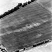 Meg Taylors, oblique aerial view, taken from the NNE, centred on the cropmarks of an unenclosed settlement, possible souterrains, pits and rig.