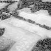 Oblique aerial view centred on the cropmarks of the possible plantation enclosure with the gate-lodge adjacent, taken from the SW.