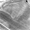 Upper Carbarns, oblique aerial view, taken from the E, centred on the cropmarks of a possible settlement and enclosure.