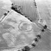 Oblique aerial view centred on the cropmarks of the settlement, taken from the W.